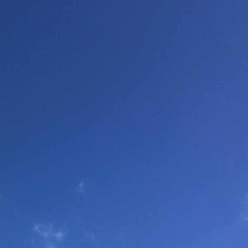 Meet your Posher, Kadin